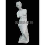 維納斯大立像石膏像(102cm)