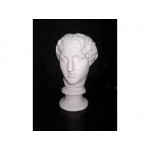 麻面維納斯(55cm)