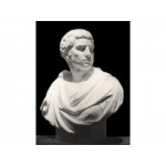 布魯斯特(80cm) 布魯斯特(80cm)