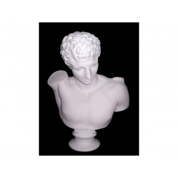 海路媚斯(82cm) 海路媚斯(82cm)