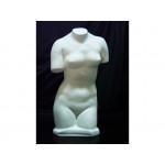 杜爾蘇(大70cm/小53cm)