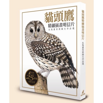 貓頭鷹精細插畫明信片