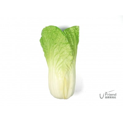小白菜橡膠蔬菜