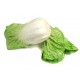 小白菜橡膠蔬菜