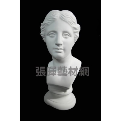 維納斯胸像(60cm)