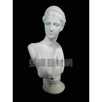 羅馬夫人石膏像(圓51cm/方48cm)