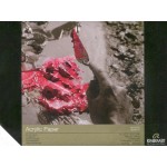 Rembrandt林布蘭Artist's Acrylic Paper壓克力畫本400g #A